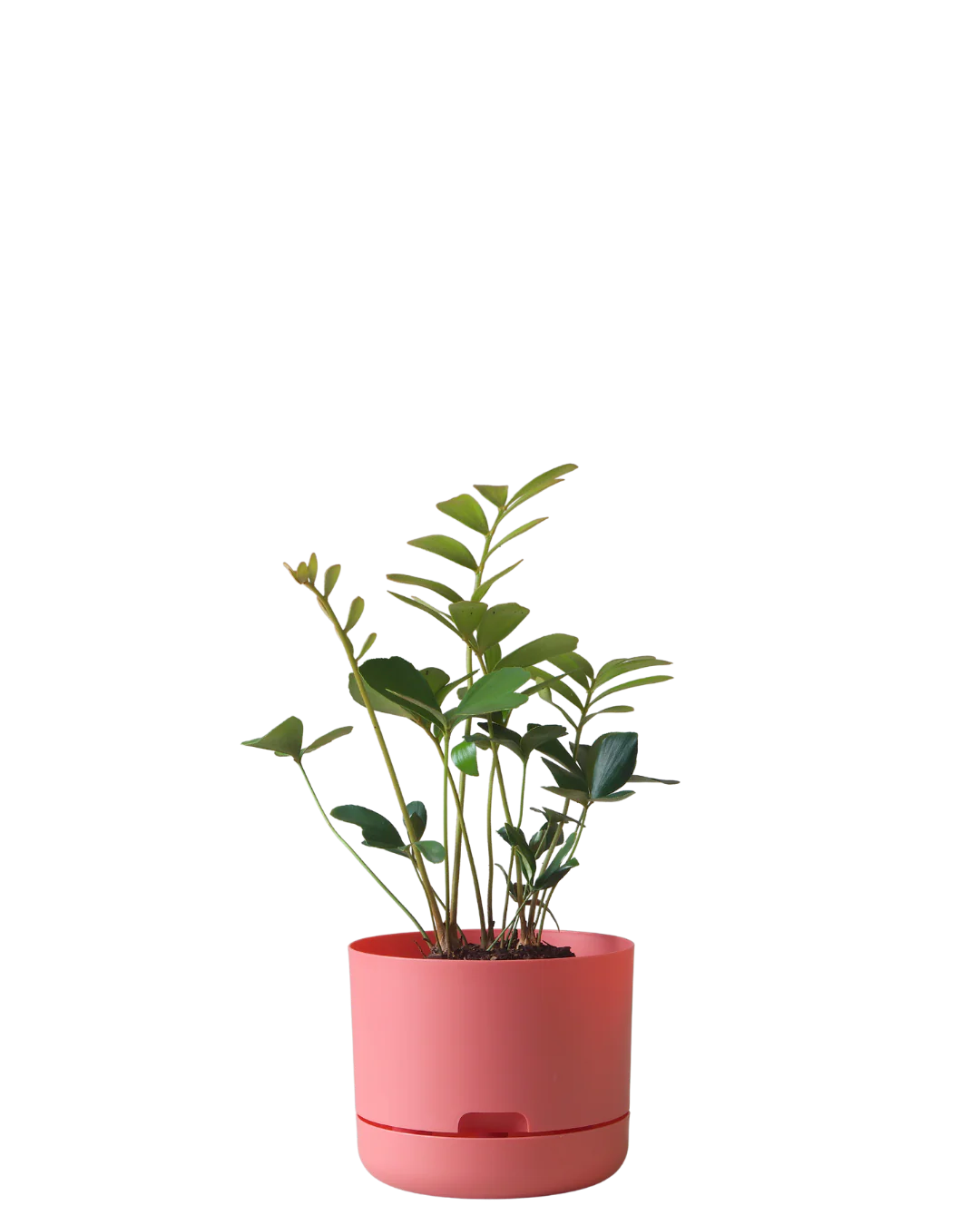 Thumbnail 10