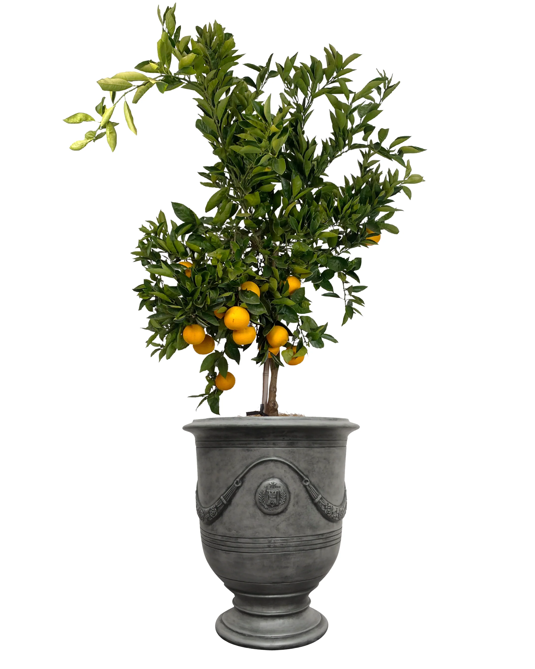 Pietro Stoneware